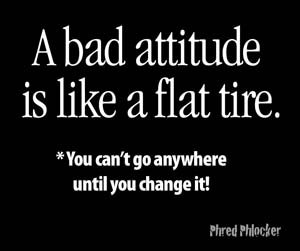 a_bad_attitude_like_fl0003